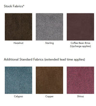 Load image into Gallery viewer, Golden Cloud MaxiComfort Lift Chair