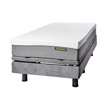 Load image into Gallery viewer, Golden Technologies Harmony Hi Low Bed