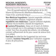 Load image into Gallery viewer, SMART SOLUTIONS BY LORNA VANDERHAEGHE | IRONSMART 60 CAPSULES - Ingredients