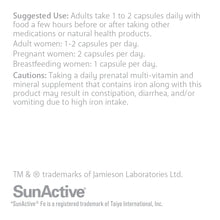 Load image into Gallery viewer, SMART SOLUTIONS BY LORNA VANDERHAEGHE | IRONSMART 60 CAPSULES - Instructions